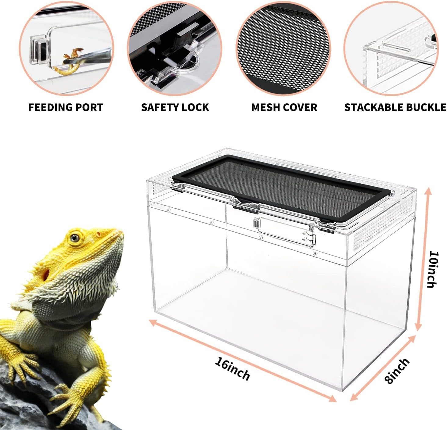 Reptile Terrarium,16" x 8"x 10" Reptile Tank with Full View Visually Appealing，for Insect，Fish，Tarantula，Hermit Crab，Jumping Spider，Iguana，Tortoise，Leopard Gecko，Frog，Bearded Dragon