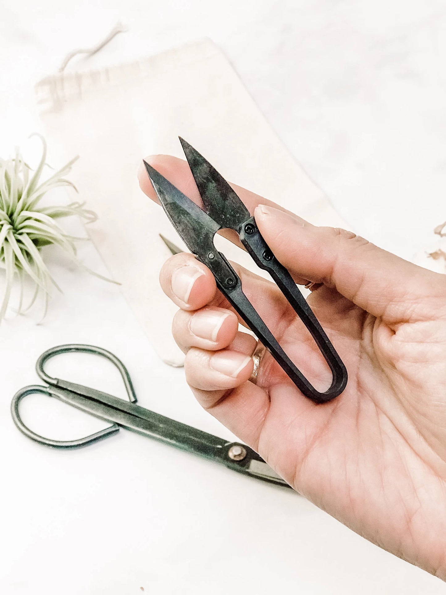 Scissors & Pruners Set | Houseplants and Gardening | A must-have plant tool and accessory for plant lovers | A perfect plant gift | 3 tools