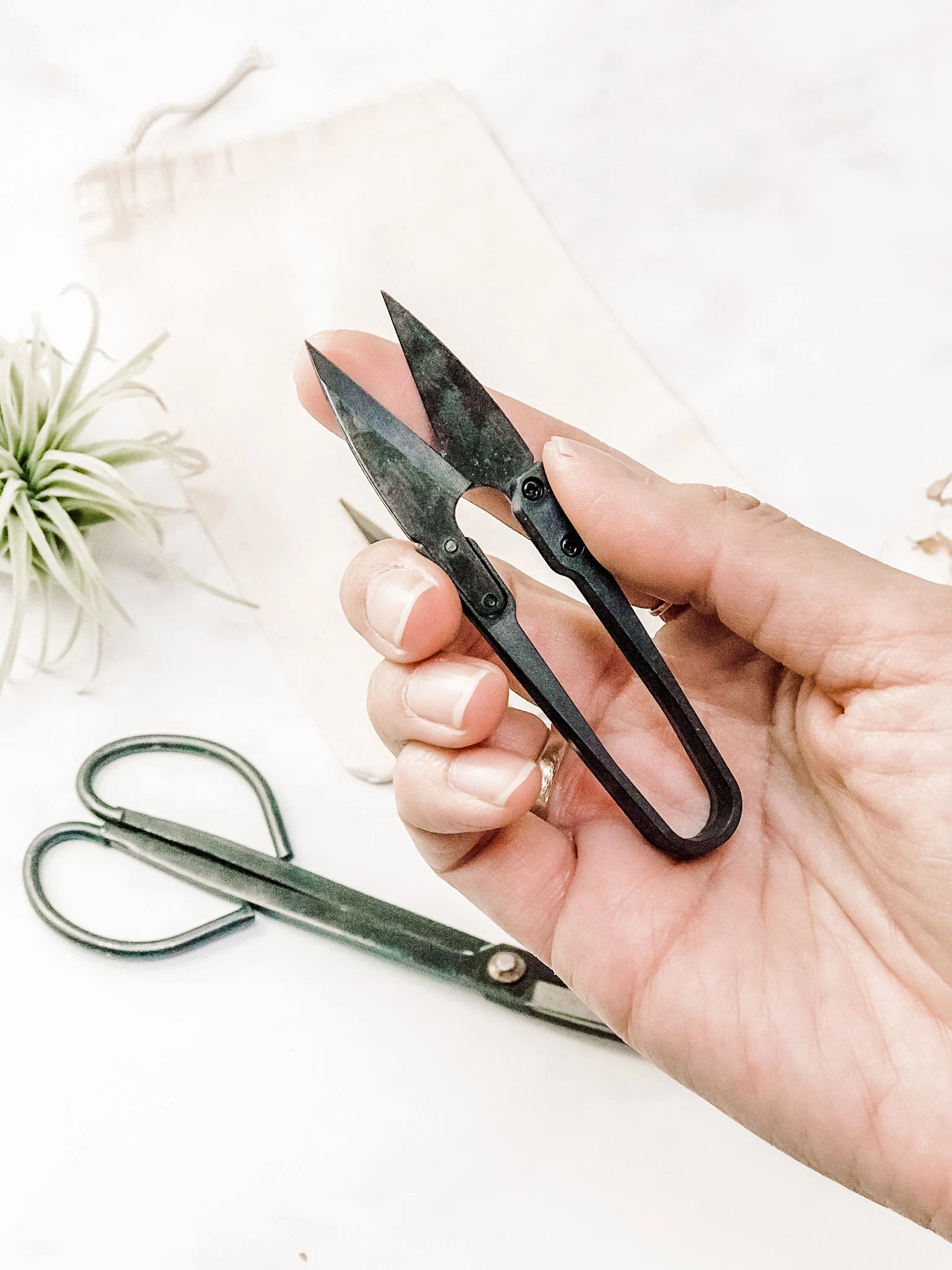 Scissors & Pruners Set | Houseplants and Gardening | A must-have plant tool and accessory for plant lovers | A perfect plant gift | 3 tools