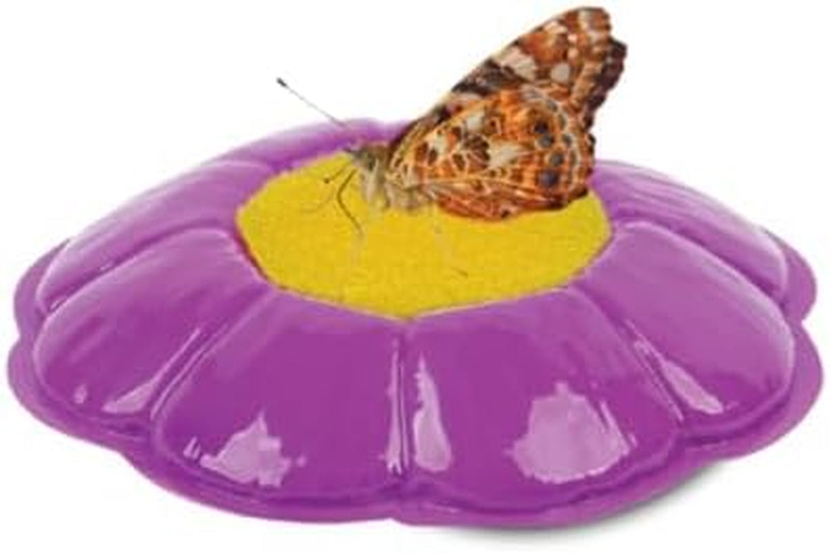 Butterfly Garden Home School Kit | Live Cup of Caterpillars | Ultra-Clear Observation Dome | Fold-Out Life Cycle Panel | STEM Butterfly Journal | Raise Painted Lady Butterflies