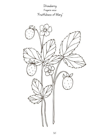 Mary's Garden of Flowers: Bible & Nature Study Downloadable Curriculum