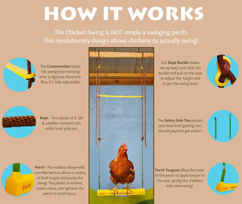 Chicken Swing Poultry Run Rooster Hens Chicks Pet Parrots Entertainment cooped up/unable to free range due to weather/predators/ordinances