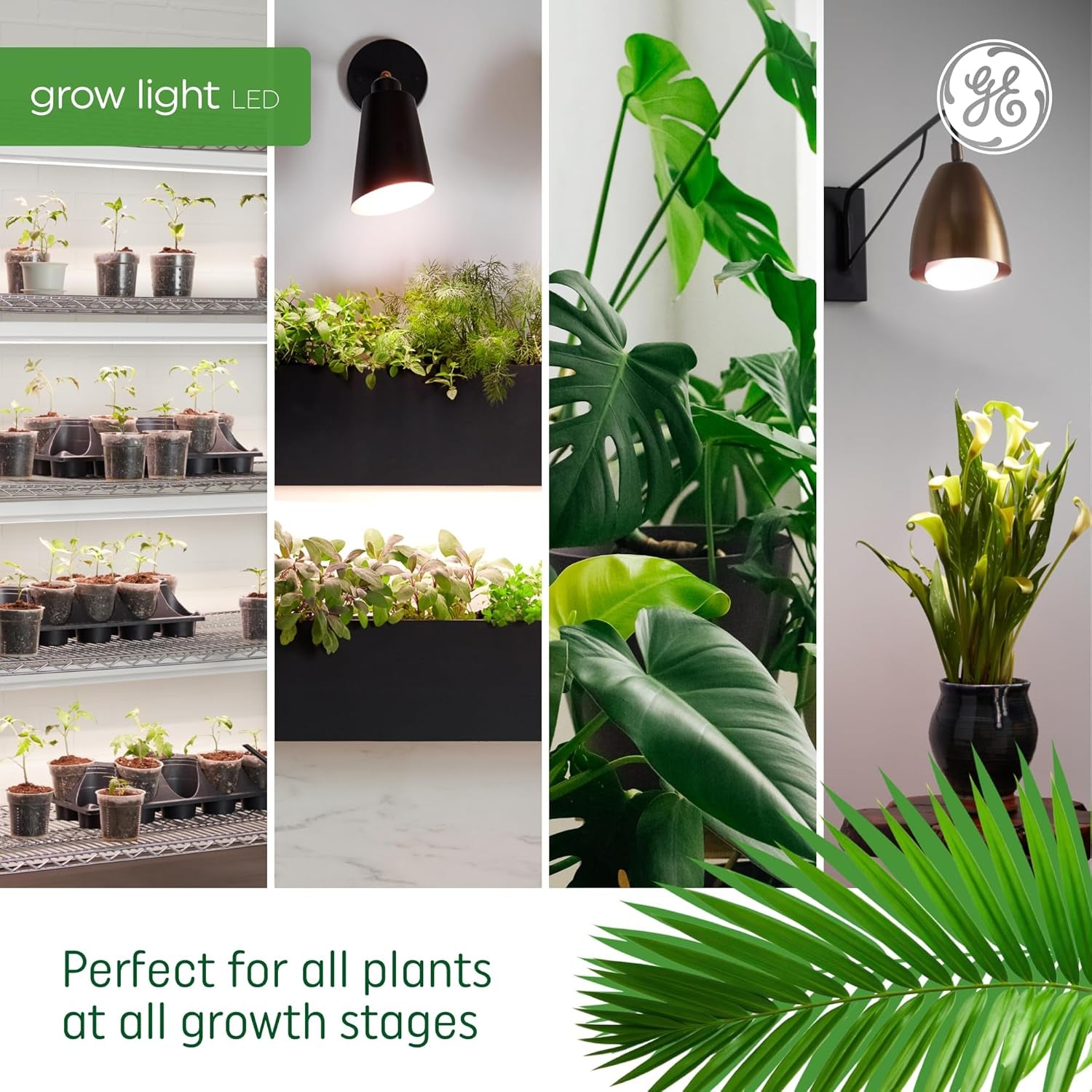 Grow Lights for Indoor Plants, BR30 Indoor Floodlight, LED Light Bulbs for Seeds and Greens with Balanced Spectrum, 25,000 Hours Lifespan, 16 PPF, 2 Pack (Packaging May Vary)