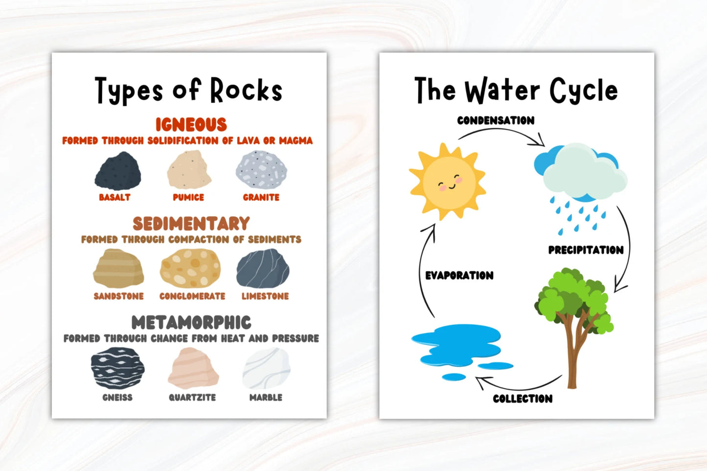 Set of 8 Educational Science Posters: Printable PDFs for Playroom or School, Educational Wall Art, Kids, Homeschool