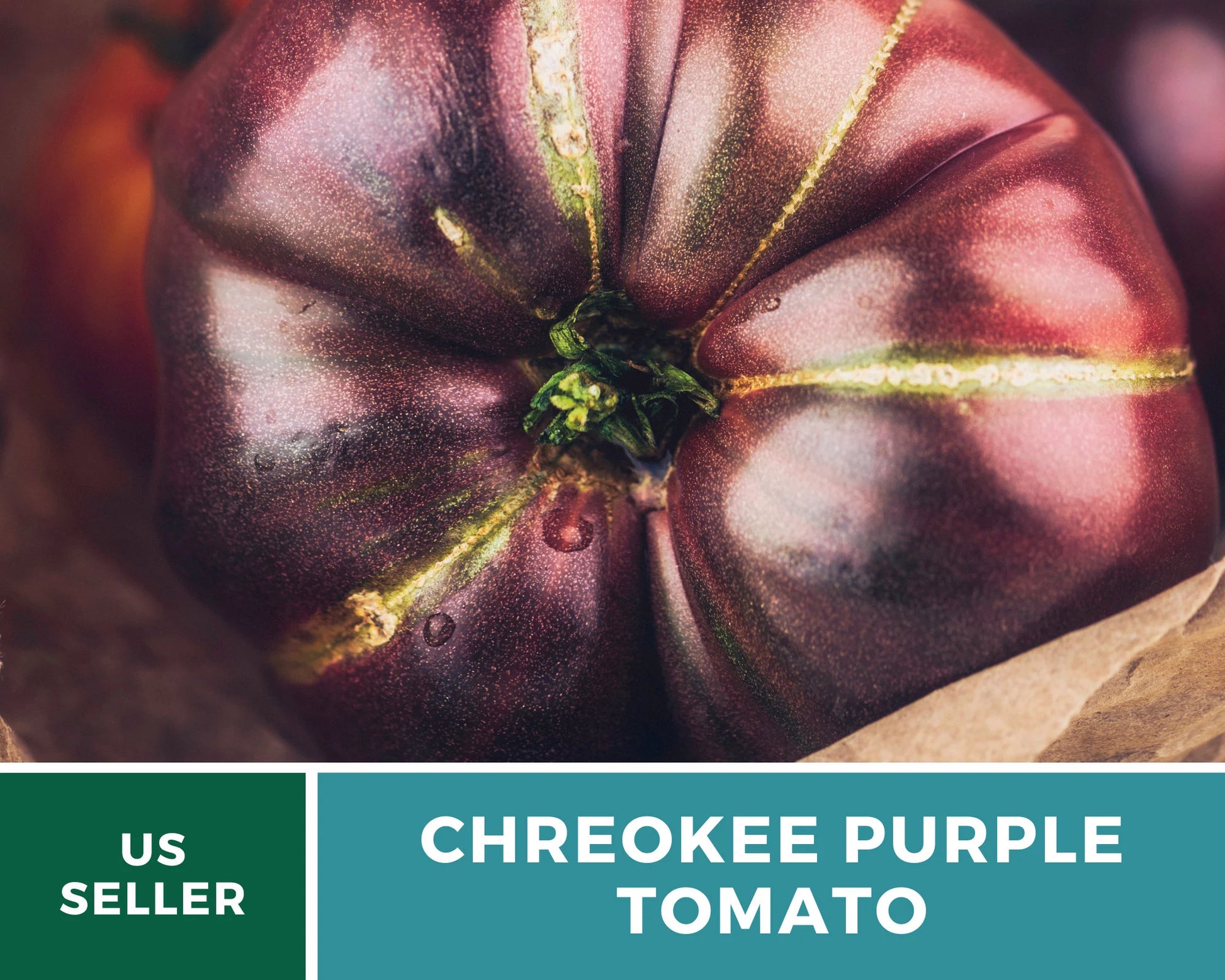 Cherokee Purple Tomato Seeds – Heirloom Vegetable, Best Tasting Beefsteak, Indeterminate, Non-GMO, Garden Gift | 50 Seeds