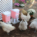Cottage Pink Chicken Feeder Waterer Set