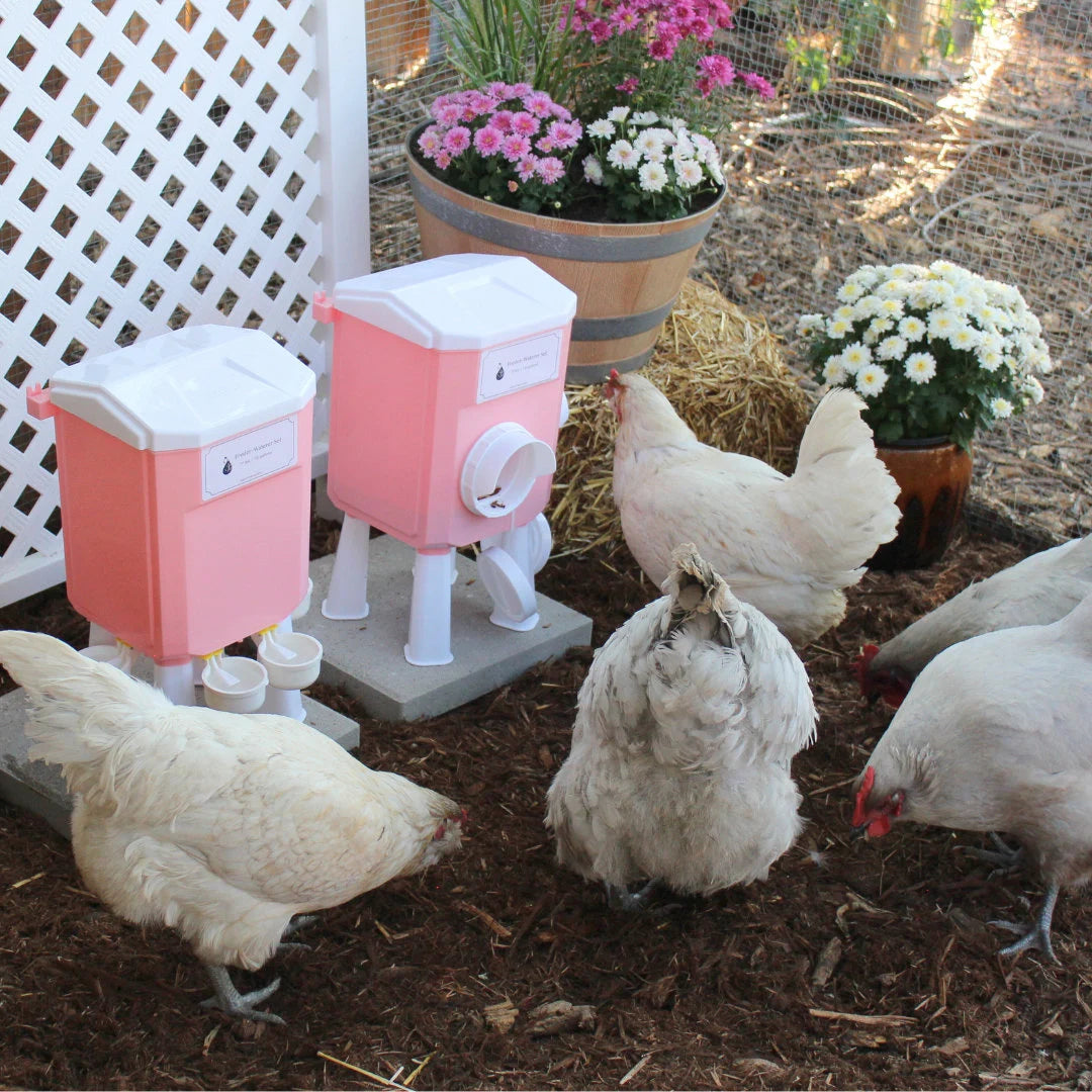 Cottage Pink Chicken Feeder Waterer Set