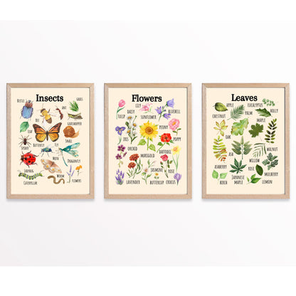 Insects Educational Poster, Flowers Poster, Printable Wall Art, Nature Learning Poster, Montessori, Homeschool, Classroom, Forest School