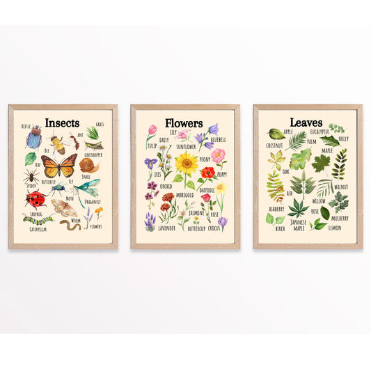 Insects Educational Poster, Flowers Poster, Printable Wall Art, Nature Learning Poster, Montessori, Homeschool, Classroom, Forest School