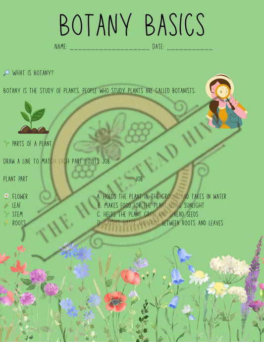 Printable Botany Worksheet for Kids | Plant Parts Activity for Elementary Homeschool Science | PDF Nature Study Page