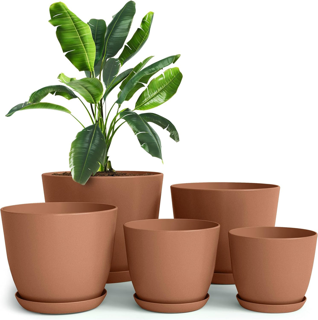 - Plastic Terracotta Pots with Drainage - 7/6.6/6/5.3/4.8 Inches Flower Pots for Indoor Planter - Pack of 5 Plastic Planters, Cactus, Succulents Pot