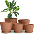 - Plastic Terracotta Pots with Drainage - 7/6.6/6/5.3/4.8 Inches Flower Pots for Indoor Planter - Pack of 5 Plastic Planters, Cactus, Succulents Pot
