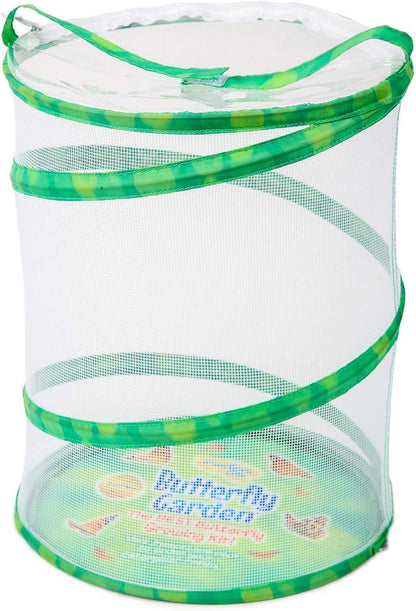 Painted Lady Butterfly Kit - Habitat, STEM Journal, & Voucher for Chrysalis Log & Caterpillars - Grow Your Own Butterfly Kit