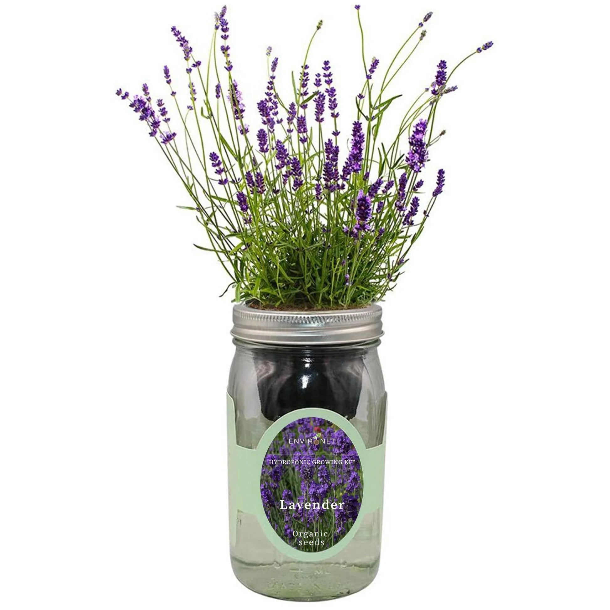 Mason Jar Hydroponic Herb Kit, Gardening Gift