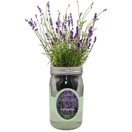 Mason Jar Hydroponic Herb Kit, Gardening Gift