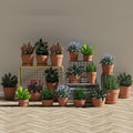 36 Pcs Small Mini Clay Pots 2.1'' Terracotta Pot Clay Ceramic Pottery Planter Cactus Flower Pots Succulent Nursery Pots- Great for Window Boxes, Cactus, Plants, Crafts, Wedding Favors
