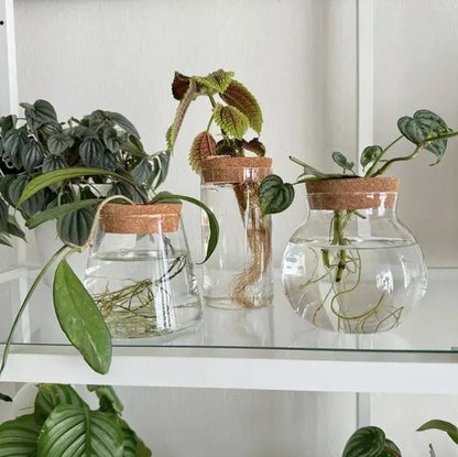 Propagation Jar Hydroponic Vase Cork Lid Plant Terrarium