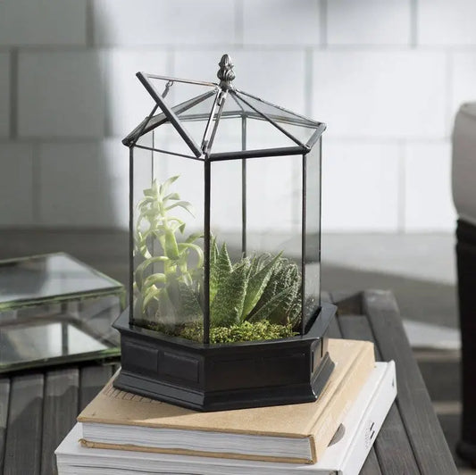 H Potter Terrarium Wardian Case Large Glass Terrarium Herb Container Succulent Garden Planter Container Glasshouse Unique Spring Decor Gift