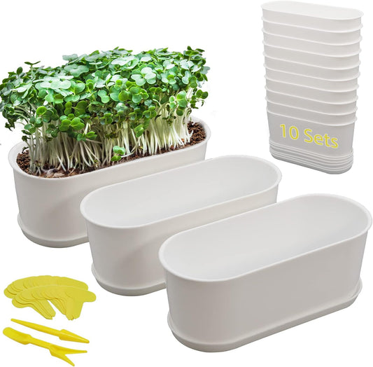 10-Pack Herb Planter with Saucer for Plant Window Box, Plastic Planter with Multiple Drainage Holes and Tray for Home Garden Succulents Modern Decorative Window Planter Box Flower Pots Gardening Pot