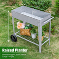 Raised Garden Bed on Wheel Outdoor Elevated Planter Box for Flower Vegetables