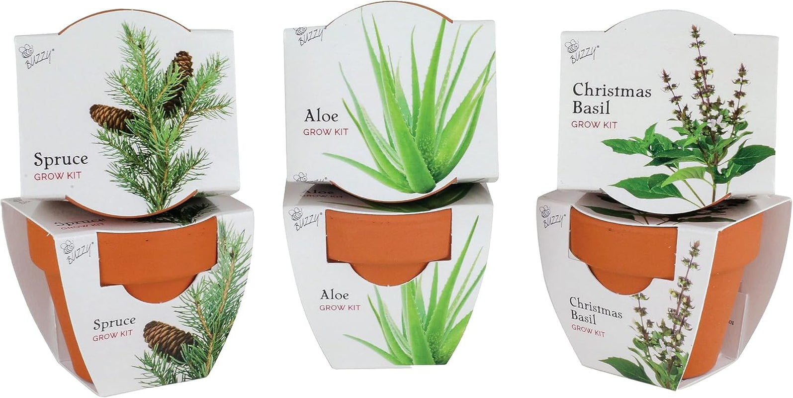 Seeds Terracotta Mini Grow Pots | Herb, Plant, Flower Starter Kit for Kids & Adults | Assorted 6-Pack, Radiant Collection | Guaranteed to Grow | Best Indoor Grow Your Own Plant Gardening Gift