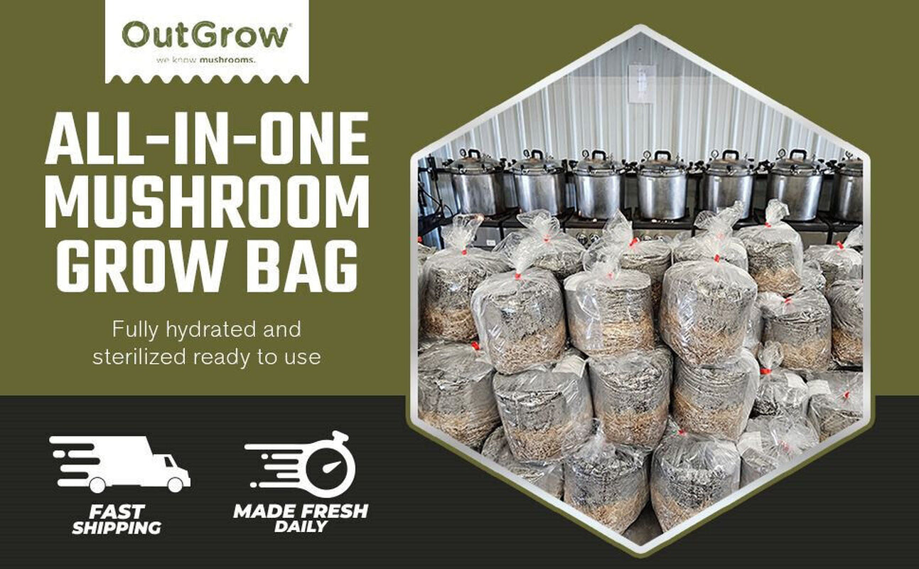 All in One Mushroom Grow Bag 2-Pack) | For Dung Loving Mushrooms | Ready To Use