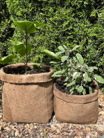 Hemp Material Pot Planter: Eco-Friendly Grow Bag