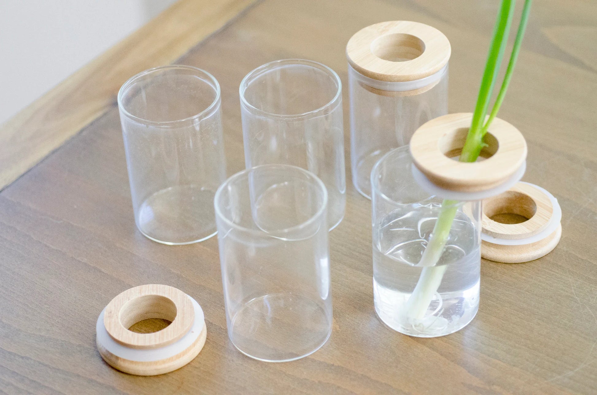 Propagation Station Jar Flower Vase with Bamboo Lid