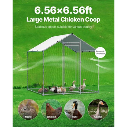 Metal Chicken Coop 6.56x6.56x6.56