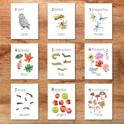 Nature Number Cards 1-20 Classroom Math Counting Cards Nursery Wall Art Montessori Pre K Homeschool Activities Classroom Nature Aesthetic