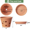 6 Inch Terracotta Orchid Pots with Holes, Saucers - 3 Pack Clay Orchid Planter Pots for Repotting, Small Terra Cotta Pot, Indoor & Outdoor, Promotes Air Circulation