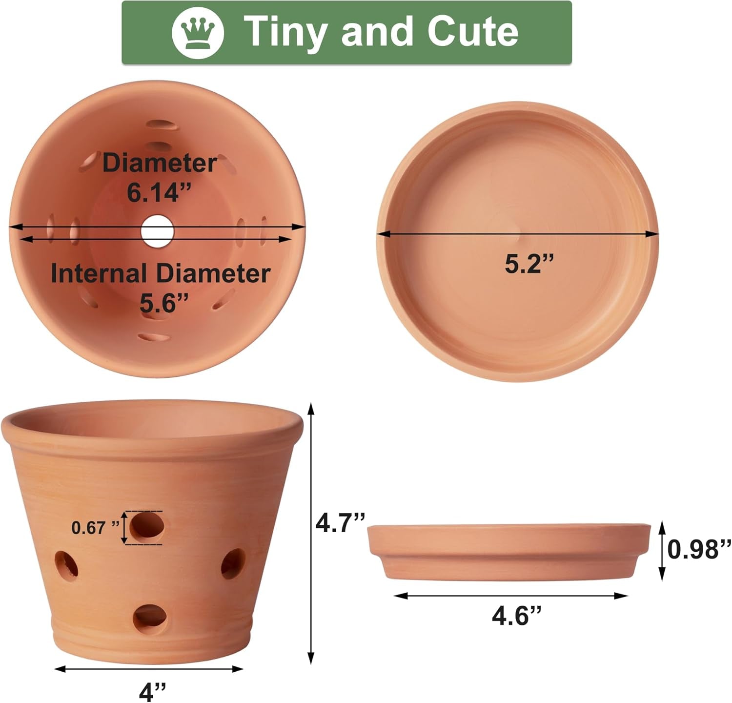 6 Inch Terracotta Orchid Pots with Holes, Saucers - 3 Pack Clay Orchid Planter Pots for Repotting, Small Terra Cotta Pot, Indoor & Outdoor, Promotes Air Circulation