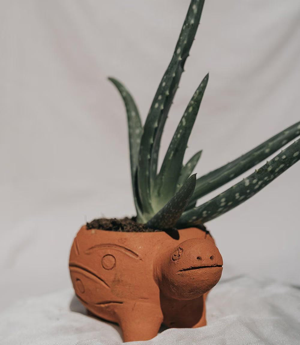 Turtle Planter, Terracotta Pot Planter, Animal Pot, Garden Planter Pot, Planter With Drainage, Handmade Planter, Clay Pot, Ceramic Planter