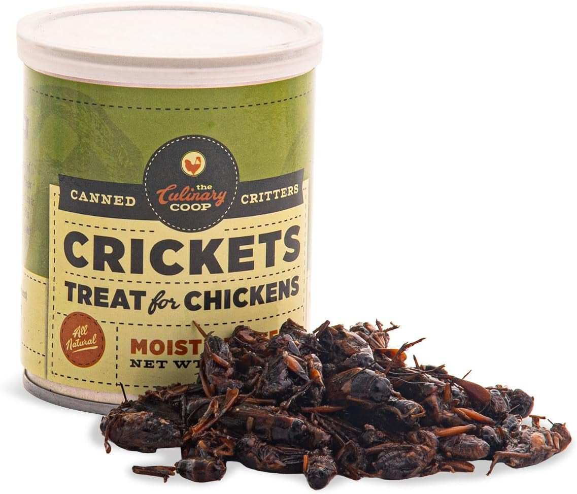 Culinary Coop Canned Crickets Chicken Treat, All Natural and Packed with Protein, 2.75 oz