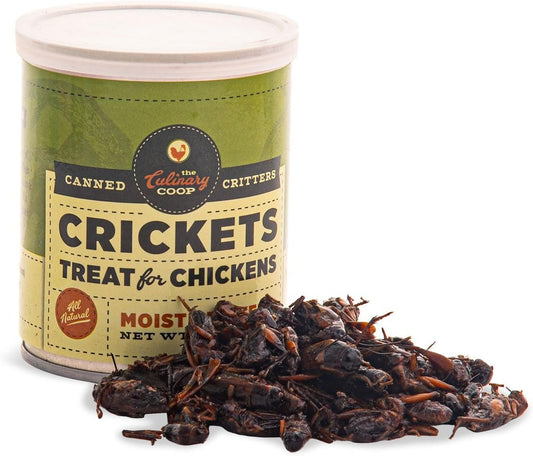 Culinary Coop Canned Crickets Chicken Treat, All Natural and Packed with Protein, 2.75 oz