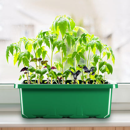10 Packs Seed Starter Tray Seed Starter Kit with Humidity Dome (120 Cells Total Tray) Seed Starting Trays Plant Starter Kit and Base Mini Greenhouse Germination Kit for Seeds Growing Starting