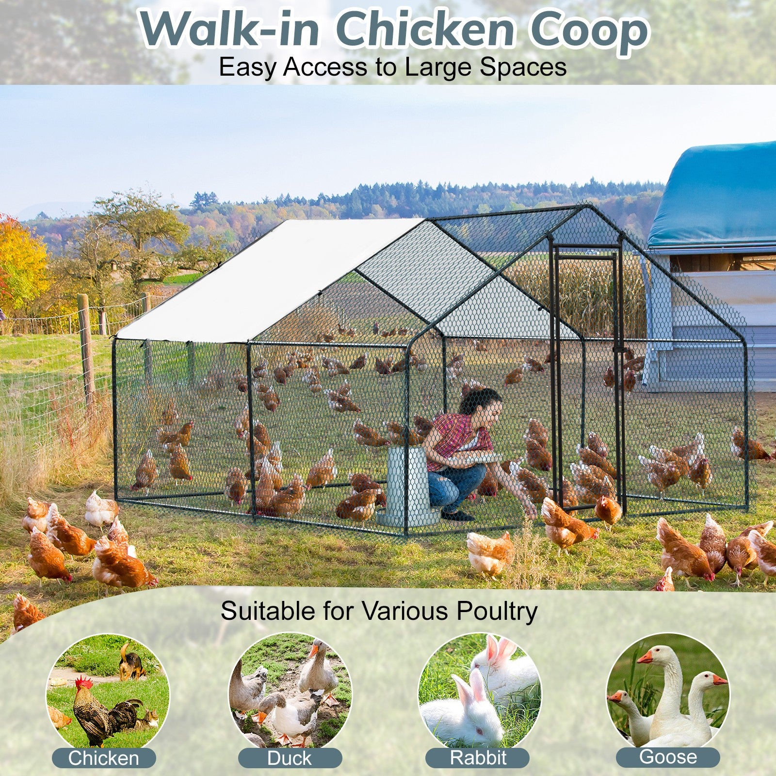 Metal Chicken Coop 6.5/10/13/20 FT Large Walk-in Hen Cage House with Cover Roof