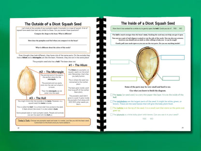 Botany Workbook for Homeschoolers - Grades 5–12 - Creative, Credit-Worthy Plant Science - Homeschool Middle School - Neurodivergent Friendly