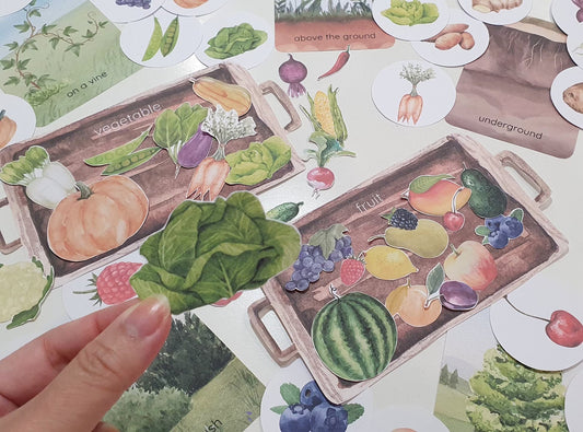 Fruit and Vegetable Sorting Games, Farm Harvest Sorting Games, Montessori Garden Fruit & Vegetable Activities, Where Do They Grow Sorting