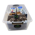 Mushroom Growing Kit - Rye Grain Spawn Bags Substrate + Monotub Grow Like Magic