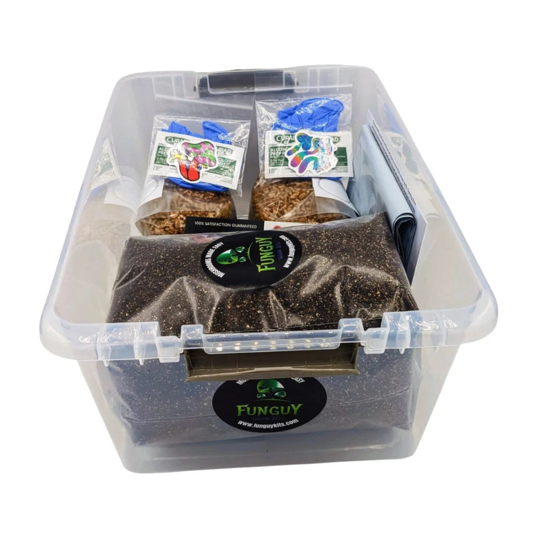 Mushroom Growing Kit - Rye Grain Spawn Bags Substrate + Monotub Grow Like Magic