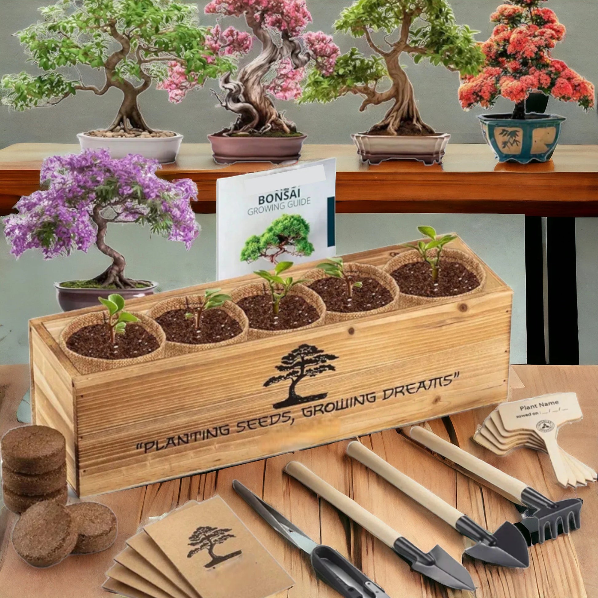 Complete Bonsai Tree Kit for Beginners and Enthusiasts | Grow 5 Unique Japanese Bonsai Trees | Indoor Gardening Gift with Tools & Planters