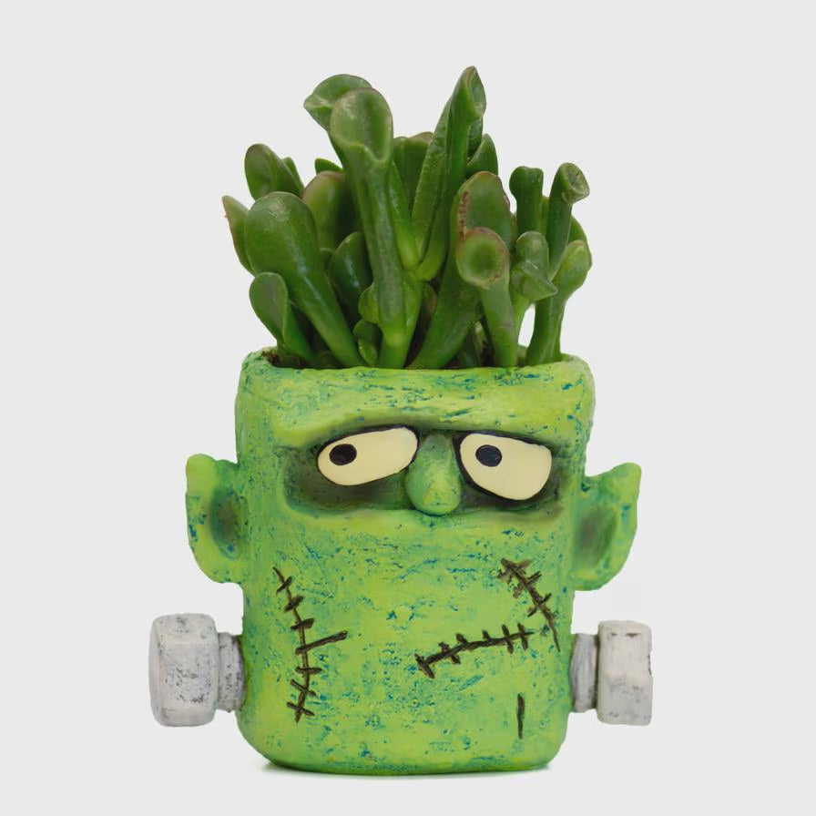 Frankie Monster Blobhouse Planter – Limited Edition Halloween Decor | Whimsical Succulent & Air Plant Pot | RPlantAsian