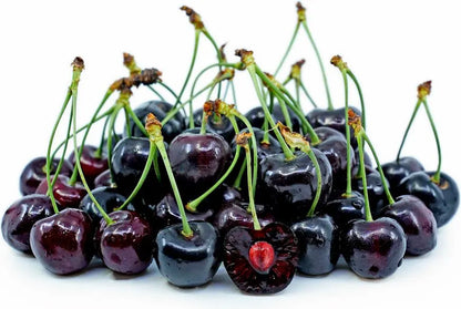 BLACK TARTARIAN SWEET Cherry ,Prunus avium - hardwood cuttings, scion wood-6 organic cuttings.