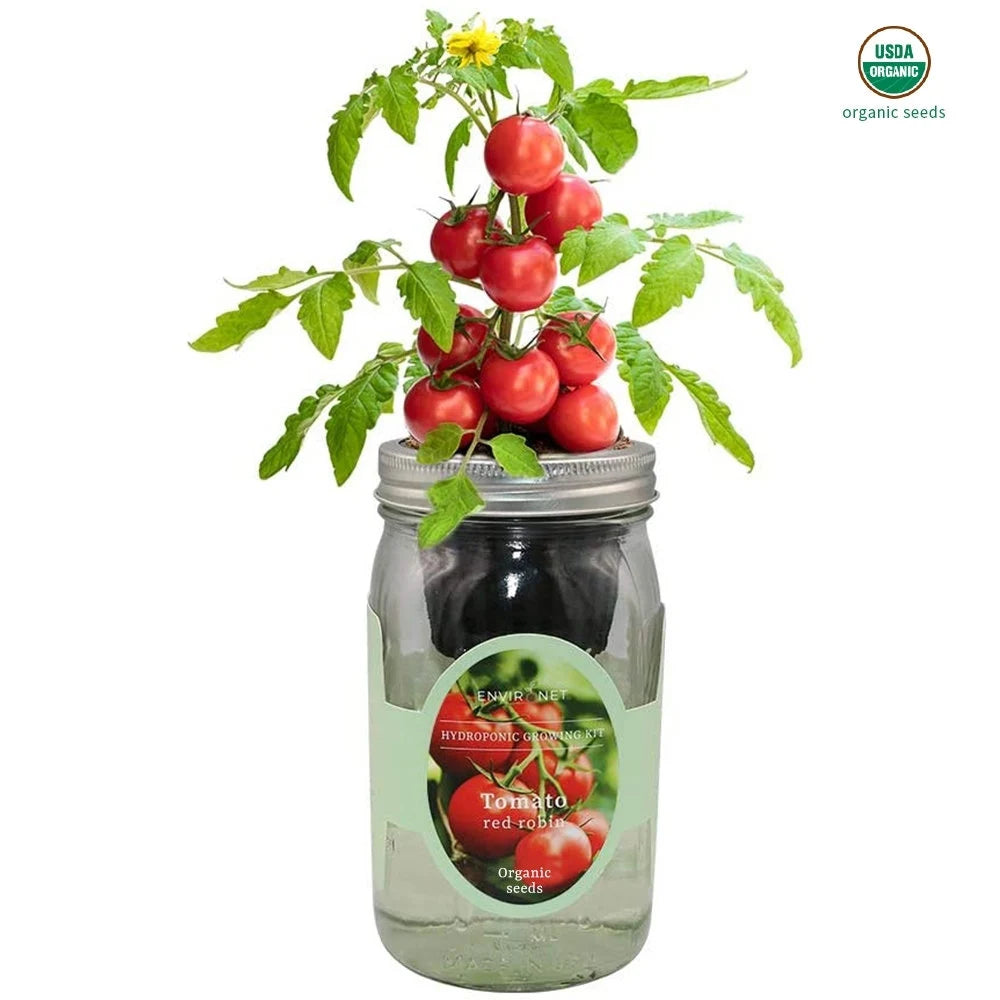 Sweetie Cherry Tomato Mason Jar Hydroponic Herb Kit with Organic Seeds, Gardening Gift