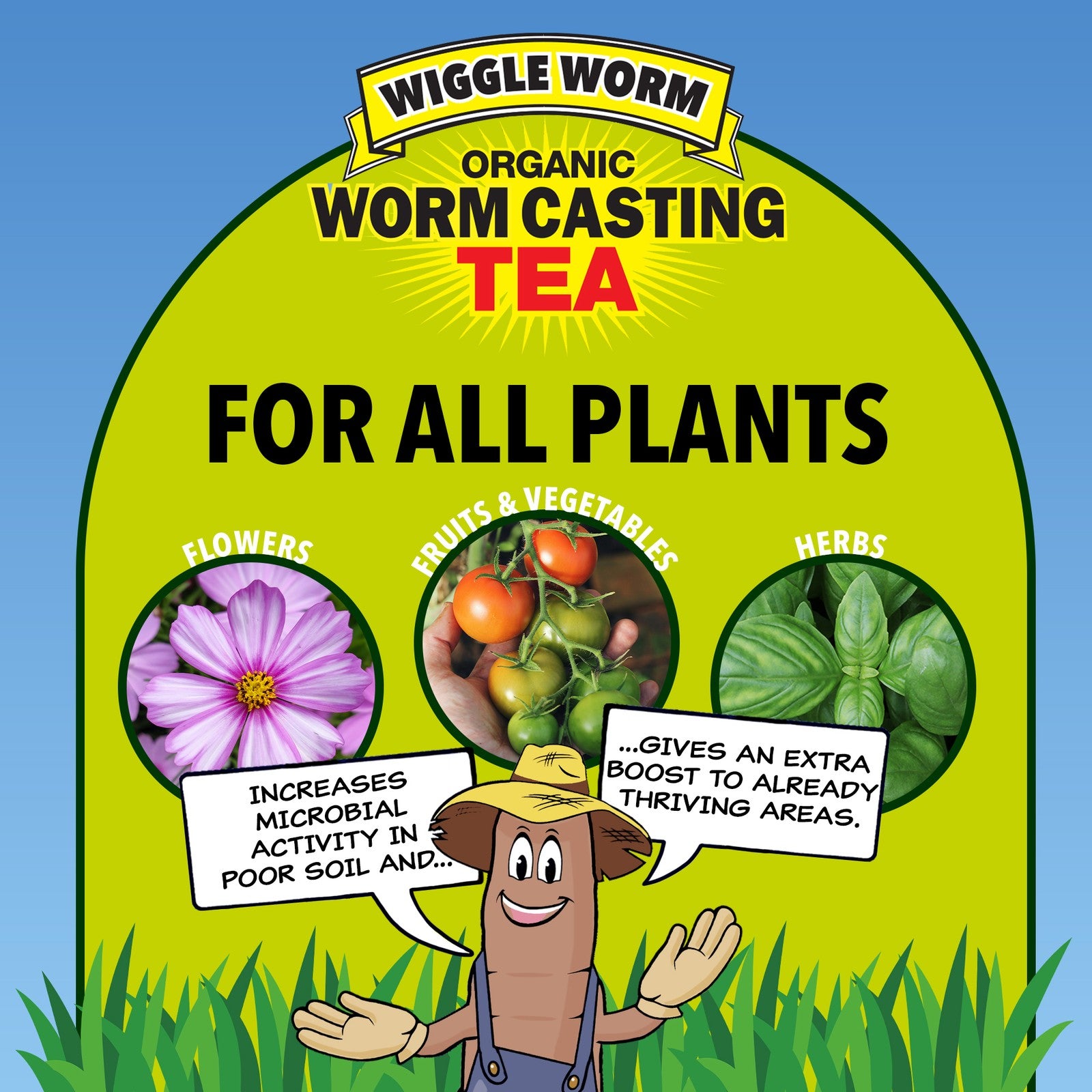 Wiggle Worm Pure Worm Castings Tea Organic Liquid Fertilizer Concentrate, 1 Gal