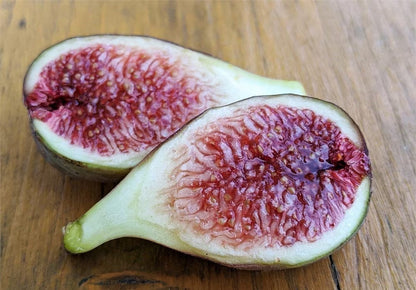 Fresh Fig Tree Cuttings  Select the Variety and Quantities You Want
