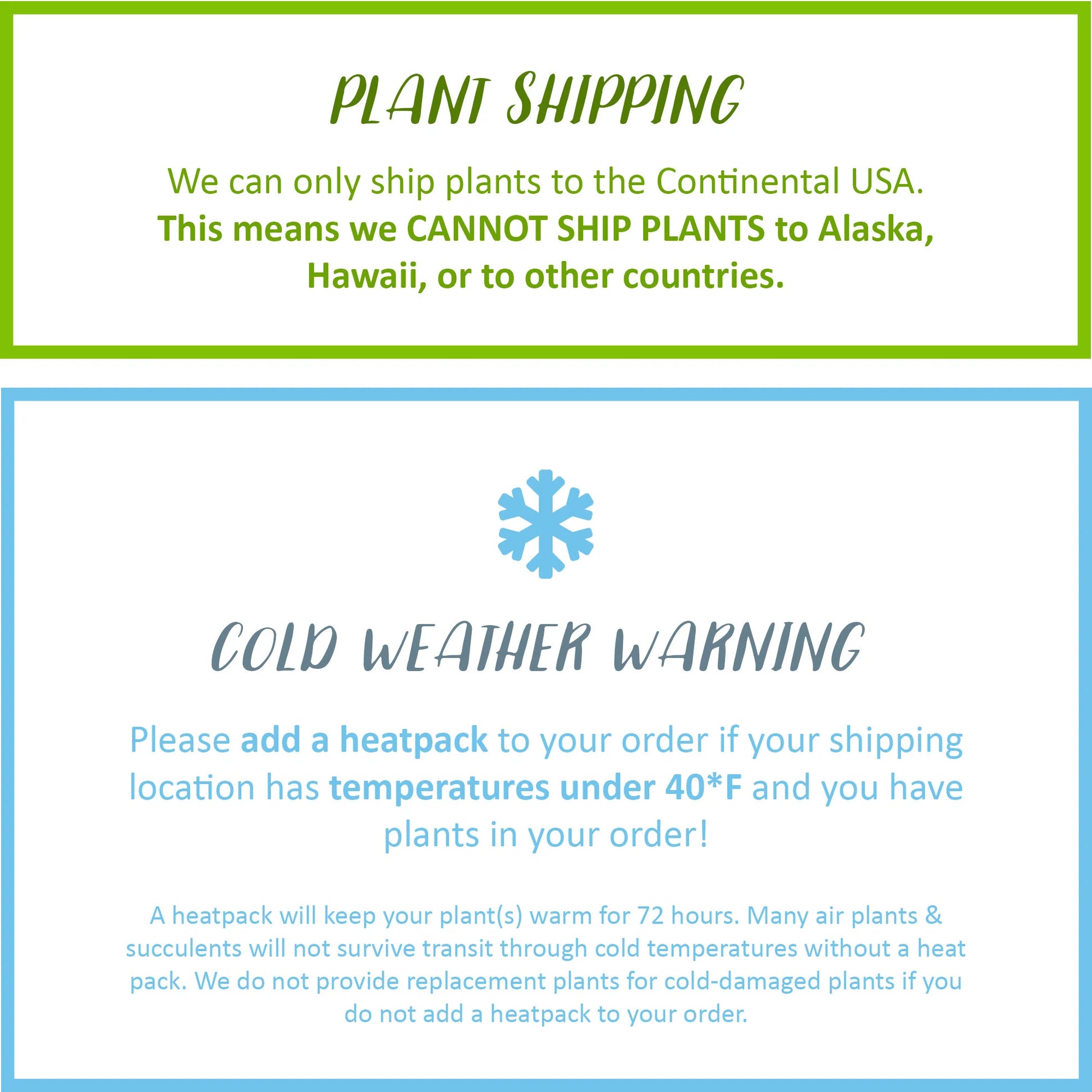 Haworthia Succulent Pumpkin Thanksgiving Hostess Gift Box, Fall Succulent Gift Box, Thanksgiving Giftbox for Plant Lover