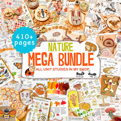 26 Unit Studies MEGA BUNDLE Homeschool Printable Charlotte Mason Toddler Busy Book Toddler Activities Nature Study Preschool Curriculum