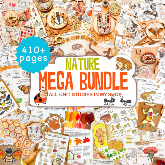 26 Unit Studies MEGA BUNDLE Homeschool Printable Charlotte Mason Toddler Busy Book Toddler Activities Nature Study Preschool Curriculum
